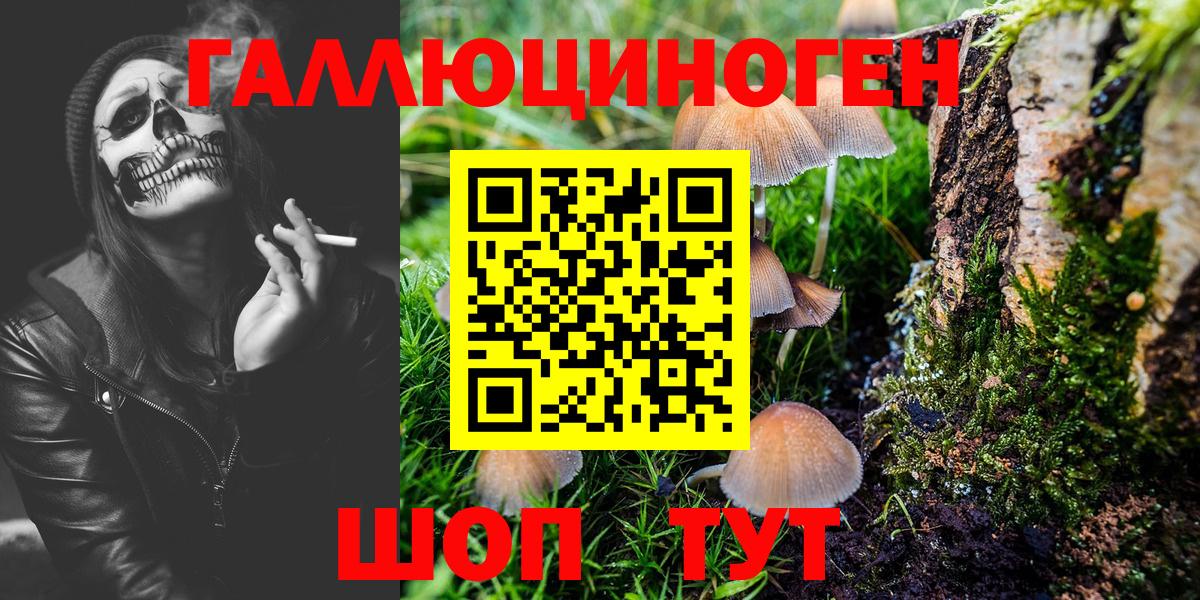 Галлюциногенные грибы мухоморы Азнакаево
