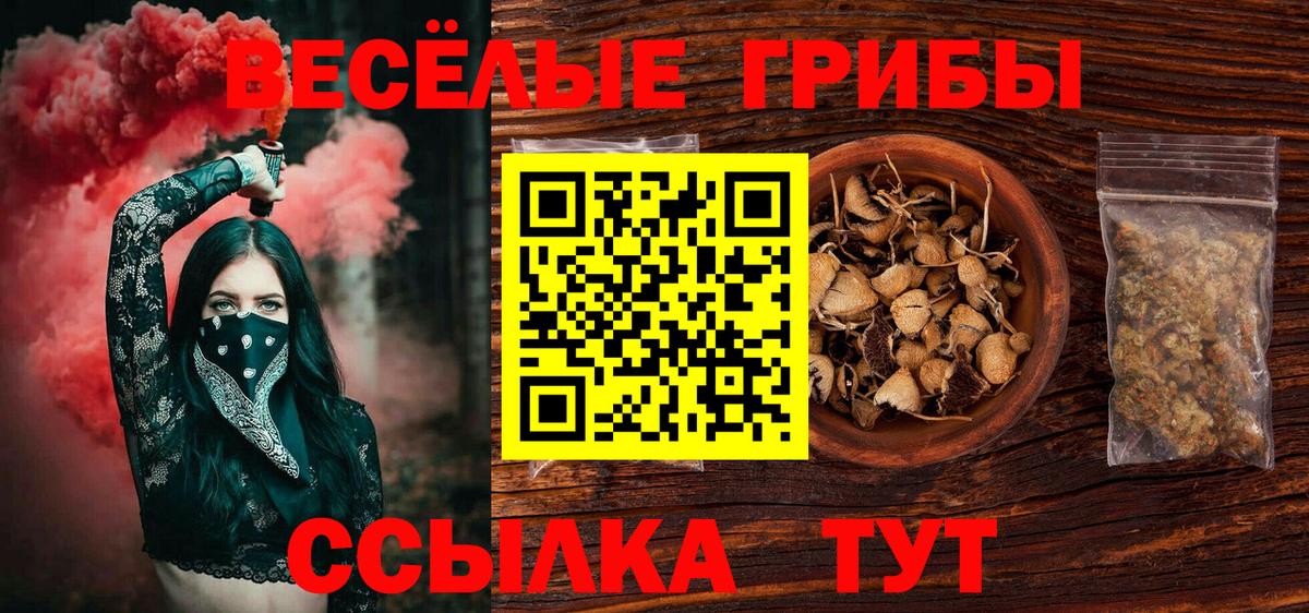 Азнакаево  Псилоцибиновые грибы мухоморы  Вход с VPN 